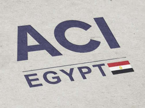埃及ACI注册攻略